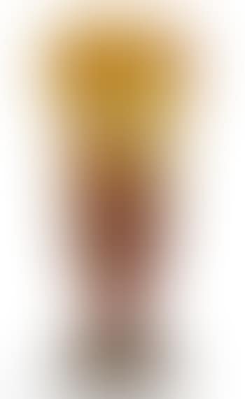 Vase With Autumn Foliage (preview)