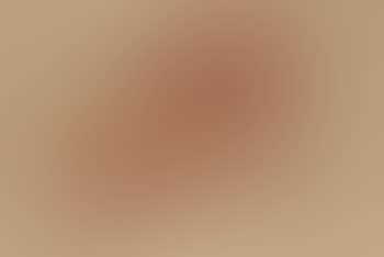 Study of resting camels (preview)