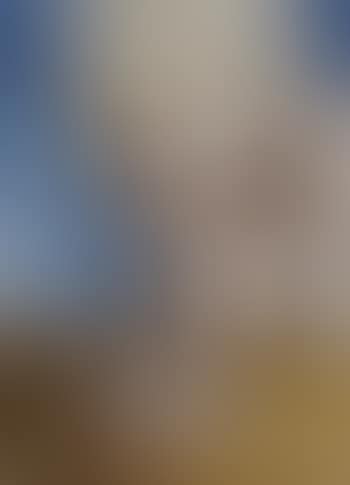 Say it with diamonds, Amanda Lepore, NY visionaire (preview)