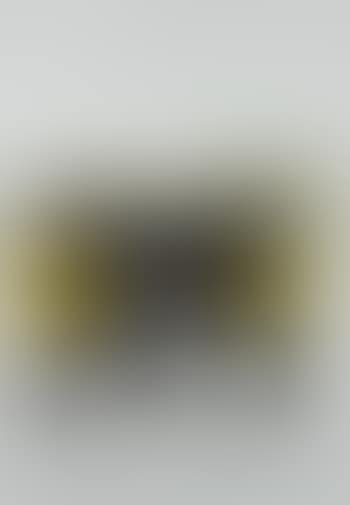 Frammento (preview)