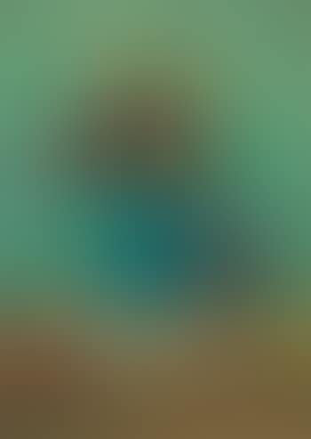 Fiori (preview)