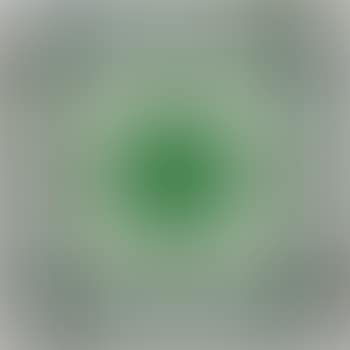 Untitled (from Serie Mangueira) (preview)