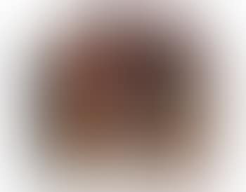 Ecritures (preview)