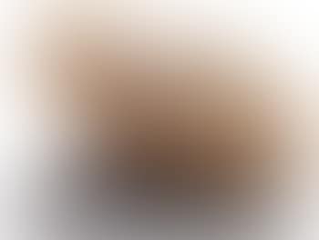 Radar No 2. (preview)