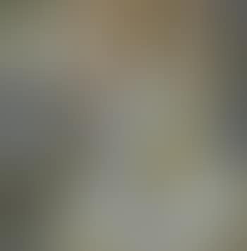 Lady Playing Pipa (preview)