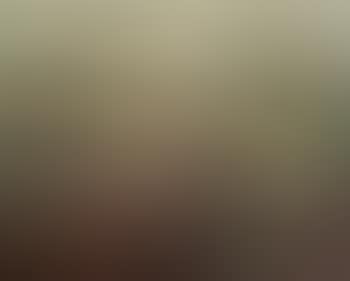 Scenery (preview)