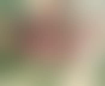 A Vase of Flowers (preview)