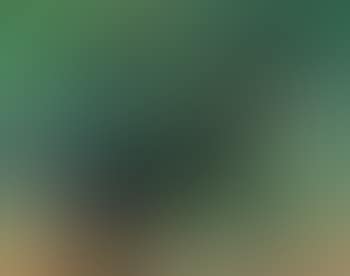 Abstraction (preview)