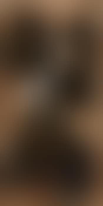 Composition No. 7 (preview)