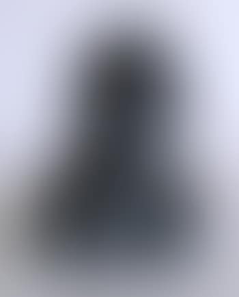 Bust of a man (preview)