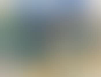 Paysage (preview)