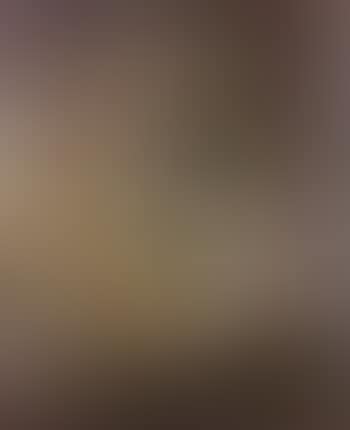 Nature morte au plat jaune (preview)