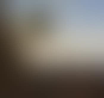 Paesaggio costiero con imbarcazioni e figure di pescatori [Coastal landscape with boats and fishermen] (preview)