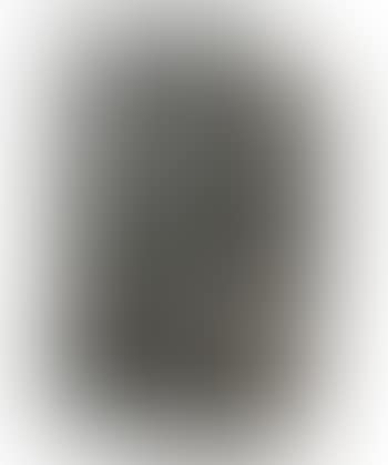 Screen Form (preview)