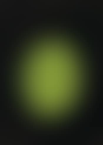 Abstract (preview)