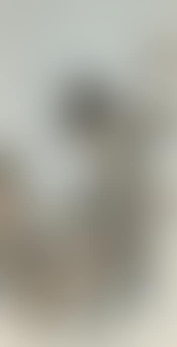 Gibbon (preview)