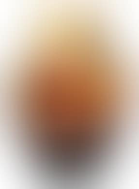 A vase decorated with magnolia (preview)