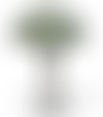 A two-light table lamp (preview)