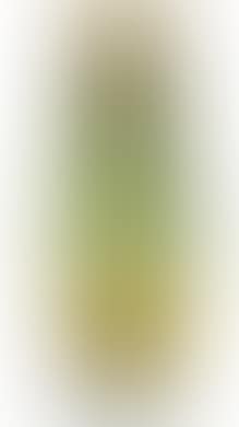 A large vase decorated with leafy branches (preview)