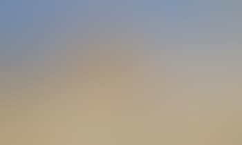 Swalla antelope in flight (preview)