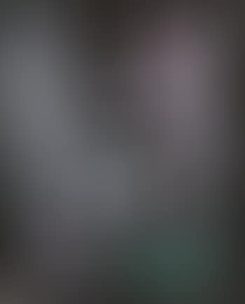 Venlon 3 (preview)