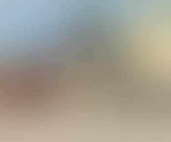 Vendanges (preview)