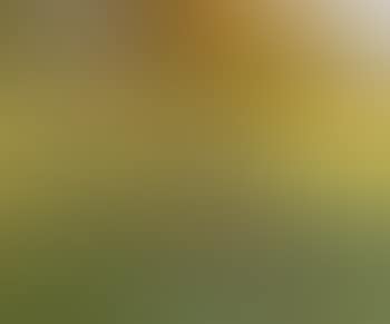 Paysage dans le Jura (preview)