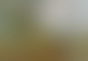Herbstlicher Weinberg (preview)