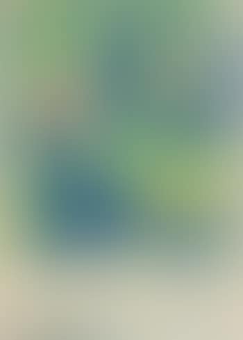 Obsternte (preview)