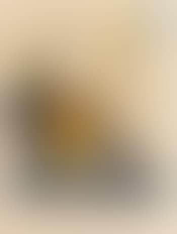 We shall go up at once and possess it (preview)