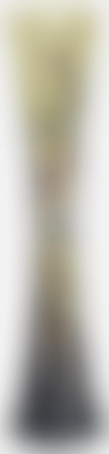 Vase, Nancy (preview)
