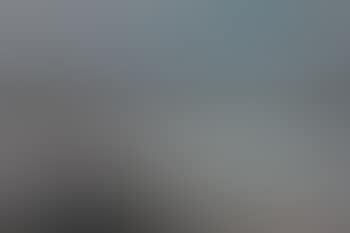 Kiebitze im Wattenmeer (preview)
