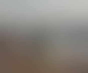 Morning on the East River (preview)