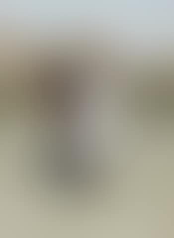Indian Scout (preview)