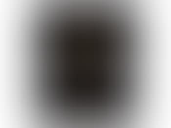Mrs. Böcklin with Black Veil (preview)