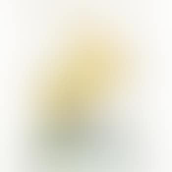 Abstract (preview)