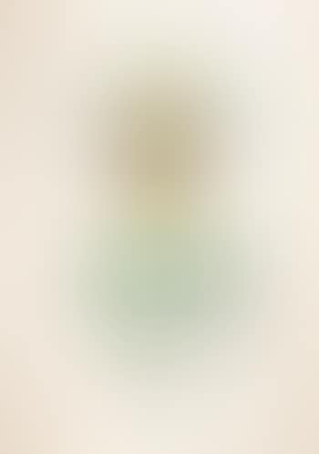 178 Flora Dalinae (preview)