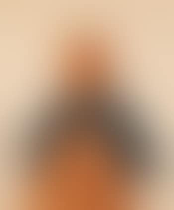 Portrait Of A Japanese Girl (preview)