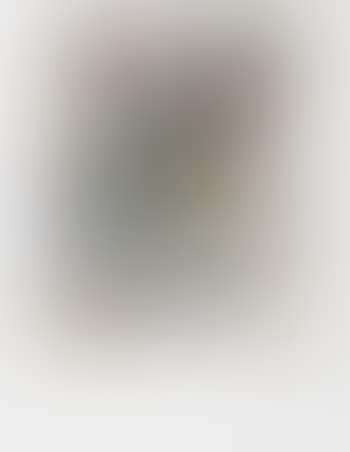Untitled (preview)