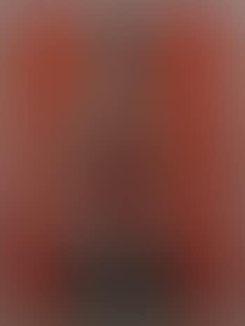 Jasper Johns Red (preview)