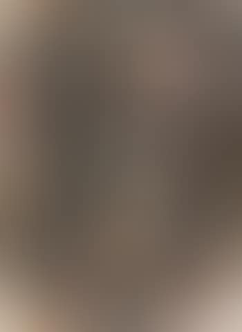 Head Of John Lessore (preview)