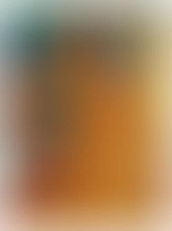 Schrei am Meer (preview)