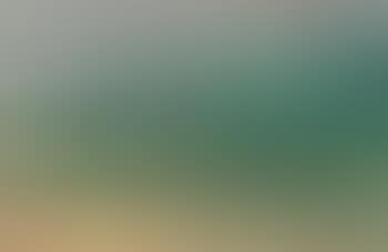 Paysage (preview)
