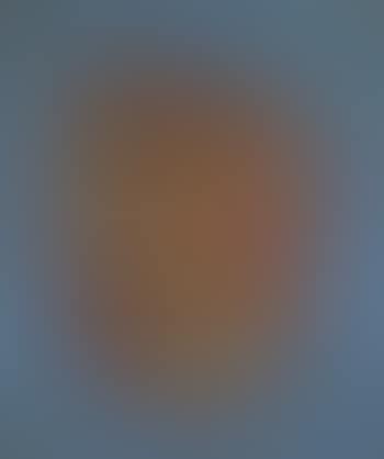 Abstract (preview)