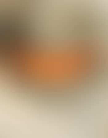 Valley curtain (Project for Colorado) (preview)