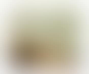 19.8.75 (preview)