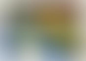 Stilleben (preview)