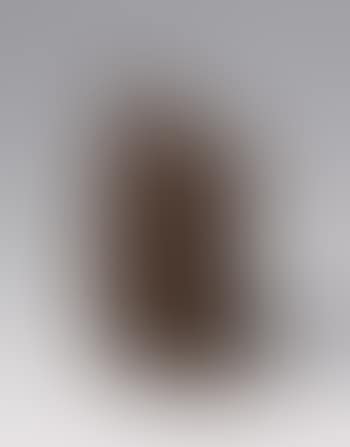 Der Abschied (preview)
