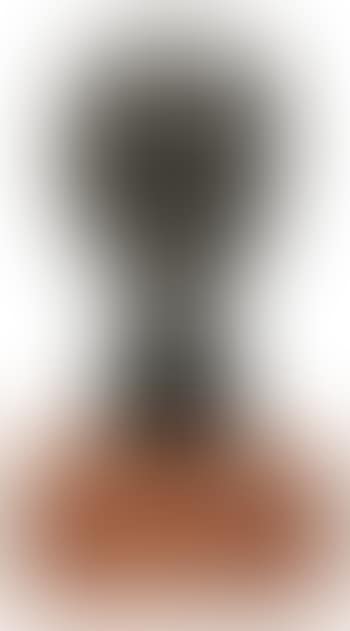 African American lady (preview)