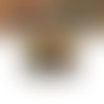 Primeval Marks. Solstice Series. Cryptic Images (preview)